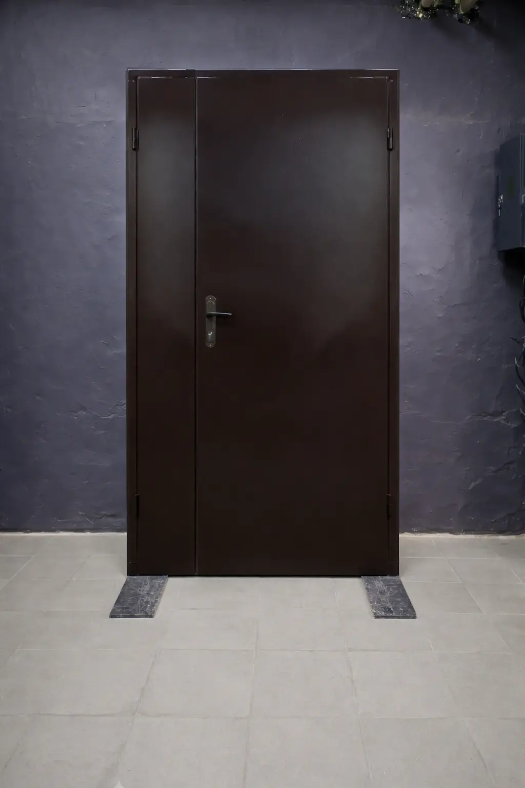 Двостулкові технічні двері